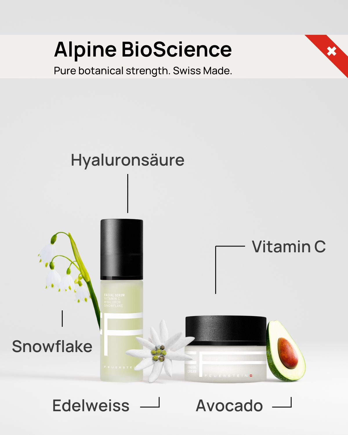 Anti-aging set from 40 - serum & face cream