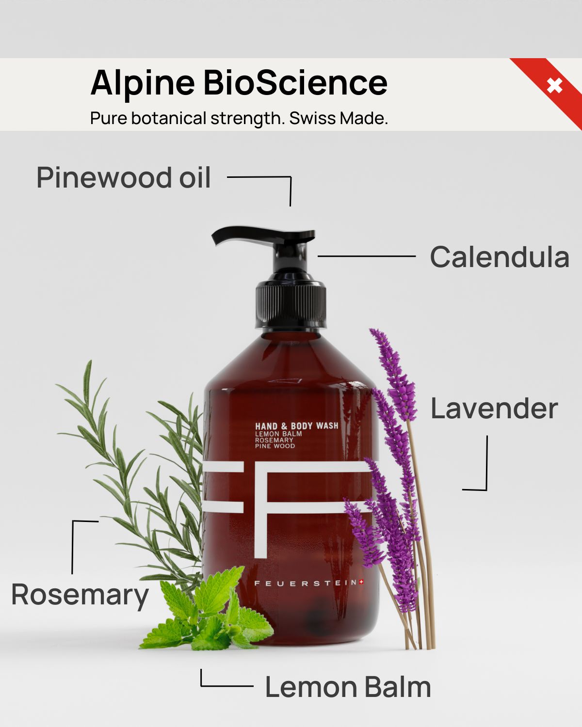 Hand & Body Wash - Hand Soap