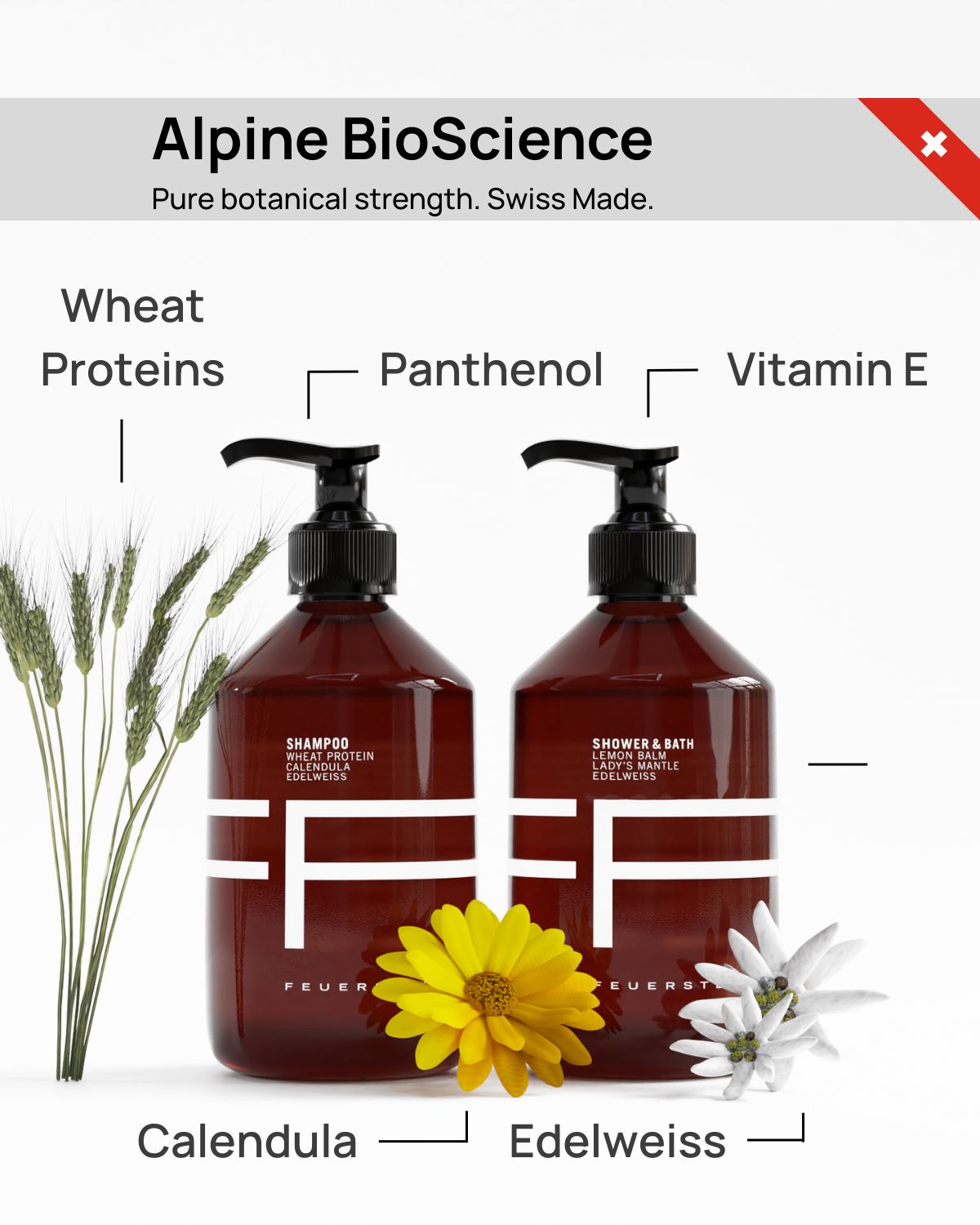 Shampoo & Shower Duet - Shampoo 500ml & Shower Gel 500ml